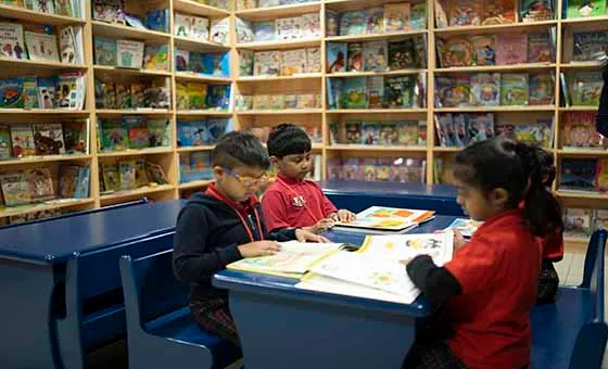 Little world Library